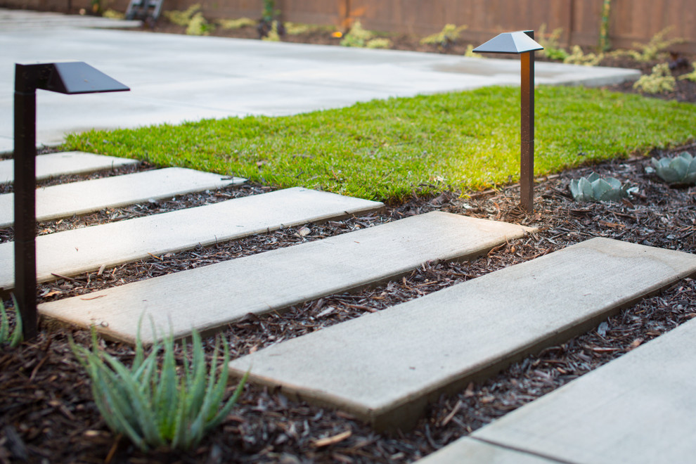 Ispirazione per un giardino minimalista esposto a mezz'ombra di medie dimensioni e dietro casa con un ingresso o sentiero e pavimentazioni in cemento