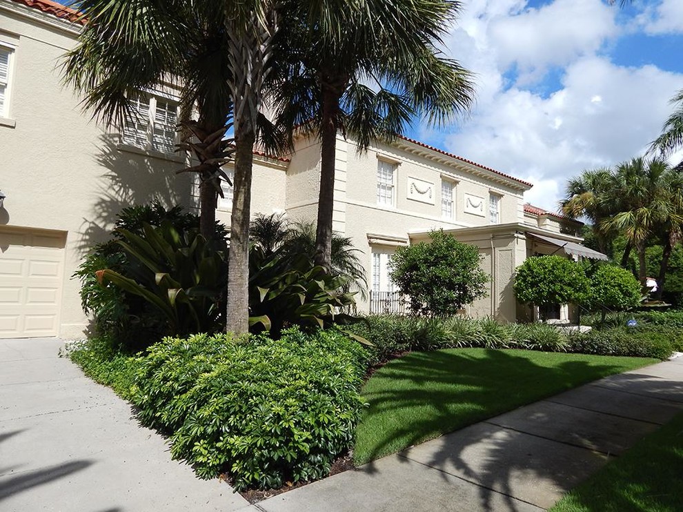 Sarasota Landscaping Mediterranean Landscape Tampa by Grants