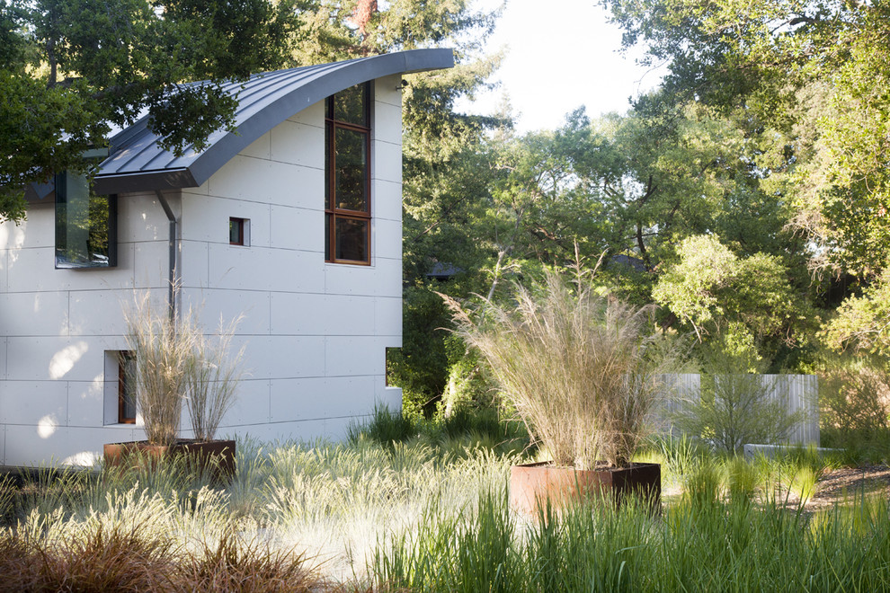 Moderner Garten in San Francisco