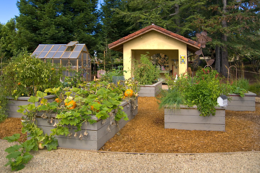 Design ideas for a mediterranean vegetable garden landscape in San Francisco.