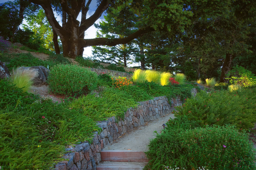 サンフランシスコにあるトラディショナルスタイルのおしゃれな庭 (傾斜地) の写真