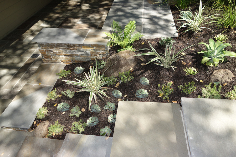 Esempio di un piccolo giardino design esposto a mezz'ombra davanti casa in inverno con un ingresso o sentiero e pavimentazioni in pietra naturale