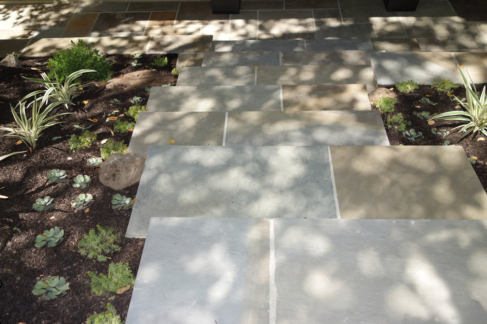 Sausalito Landscape Entrance Remodel With Full Range Bluestone Stairs Path Contemporary