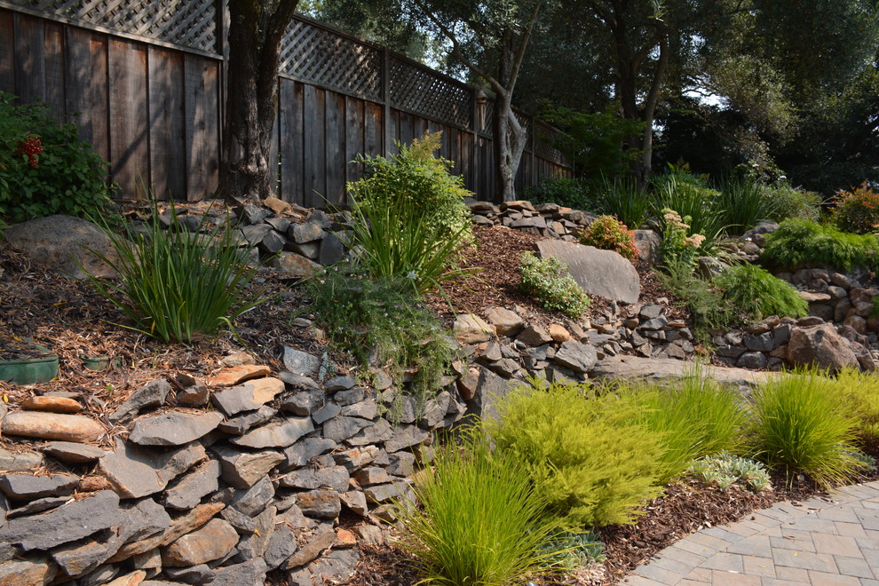 Scenic Brush Creek Traditional Landscape San Francisco by