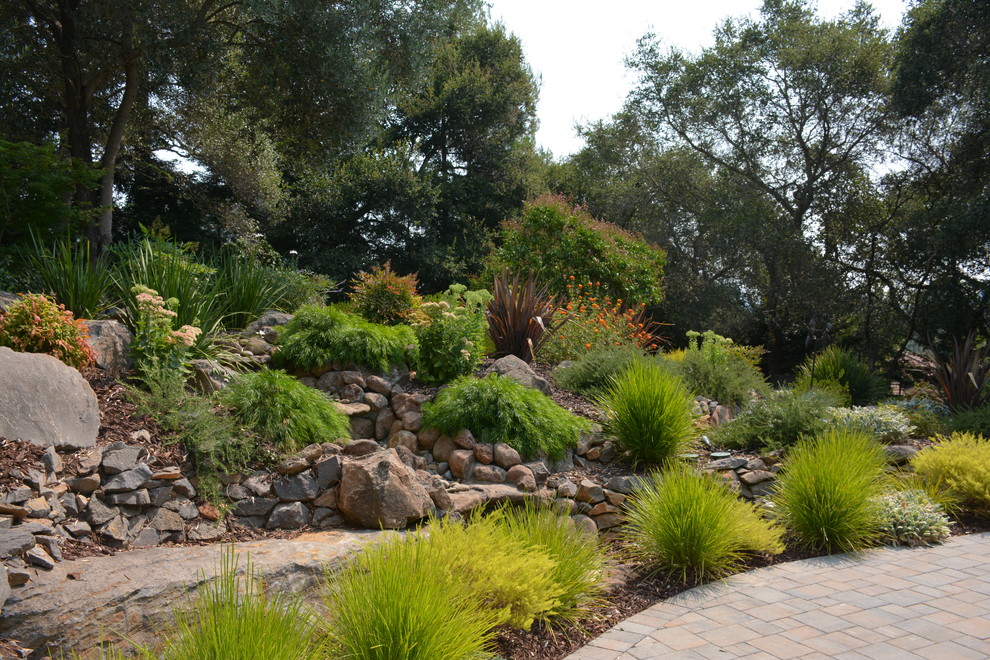 Scenic Brush Creek Traditional Landscape San Francisco by