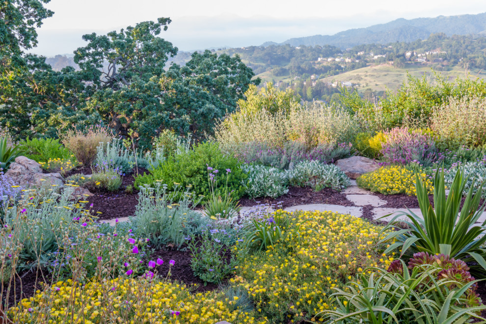 Kleiner Mediterraner Garten hinter dem Haus mit Wasserspiel, direkter Sonneneinstrahlung und Natursteinplatten in San Francisco