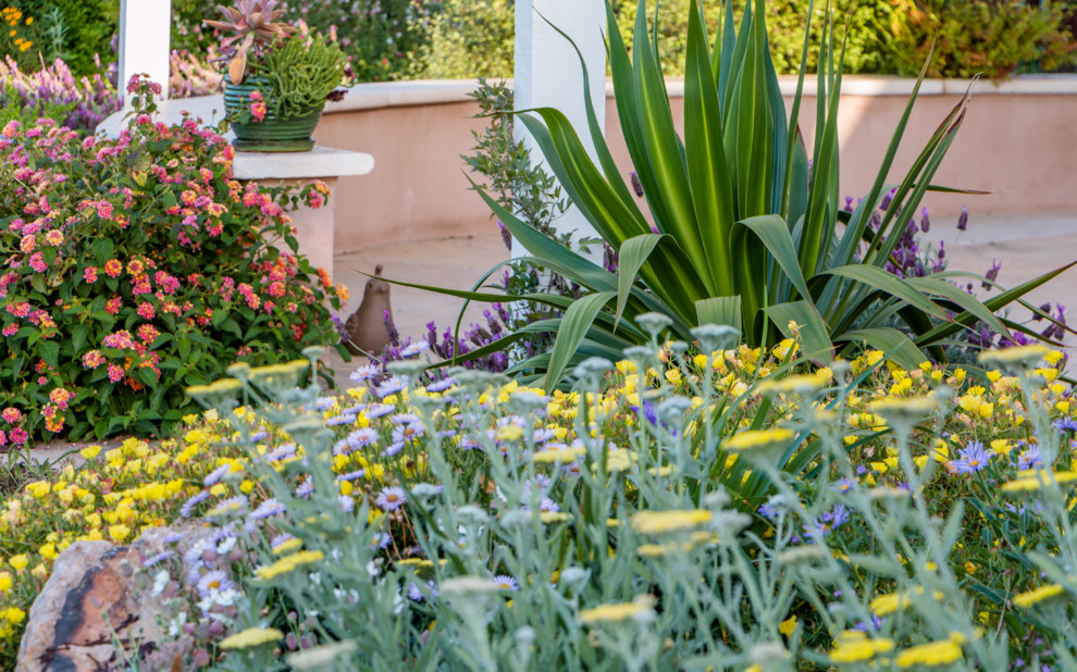Diseño de jardín de secano mediterráneo pequeño en patio trasero con fuente, exposición total al sol y adoquines de piedra natural