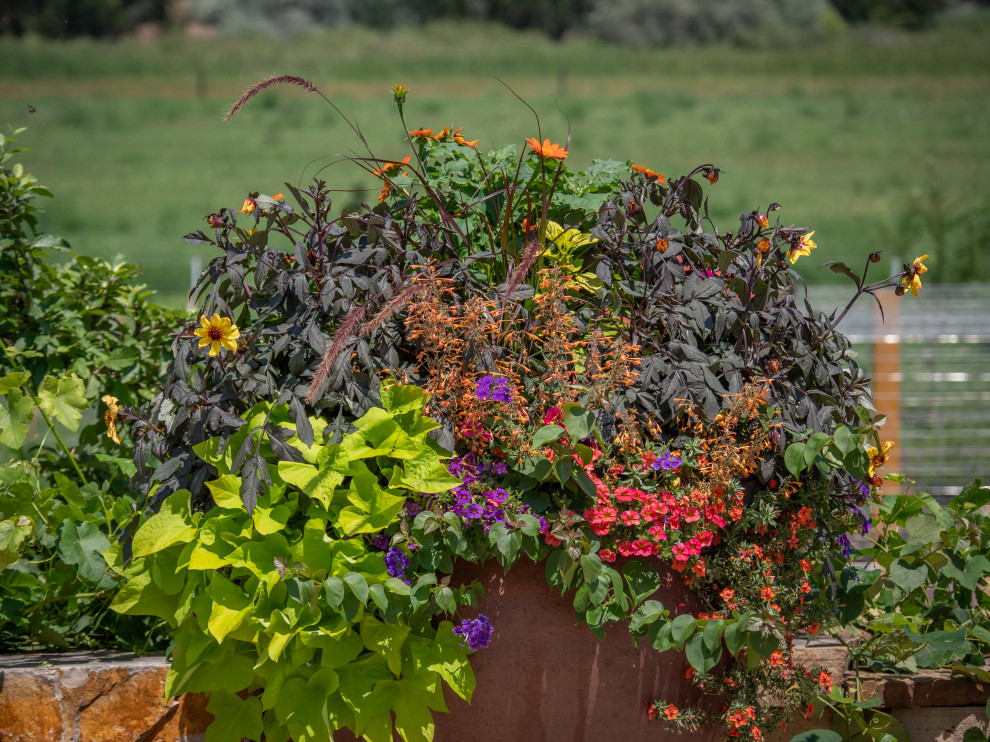 Kleiner Stilmix Garten im Sommer, hinter dem Haus mit Kübelpflanzen, direkter Sonneneinstrahlung und Natursteinplatten in Sonstige