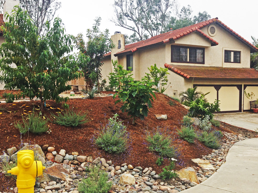 Photo of a medium sized mediterranean front xeriscape full sun garden in San Diego with a garden path and mulch.