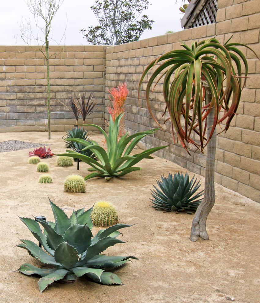 Sculptural Plants in Xeroscape Garden Southwestern