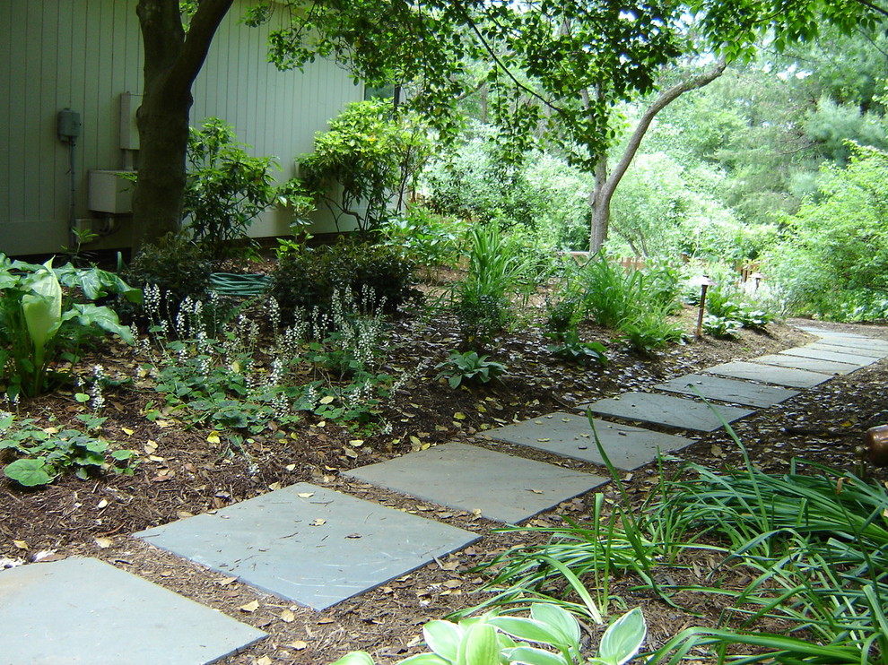 Foto de jardín actual en patio lateral
