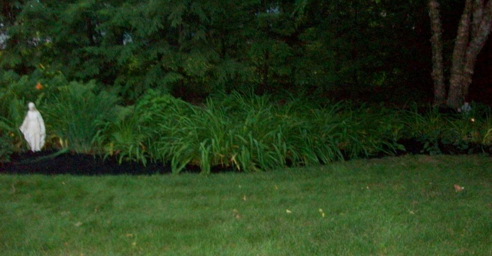 Kleiner, Schattiger Klassischer Garten im Sommer, hinter dem Haus in Cleveland