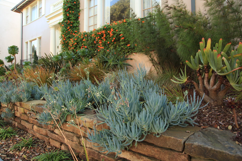 Inspiration for a garden in San Francisco.