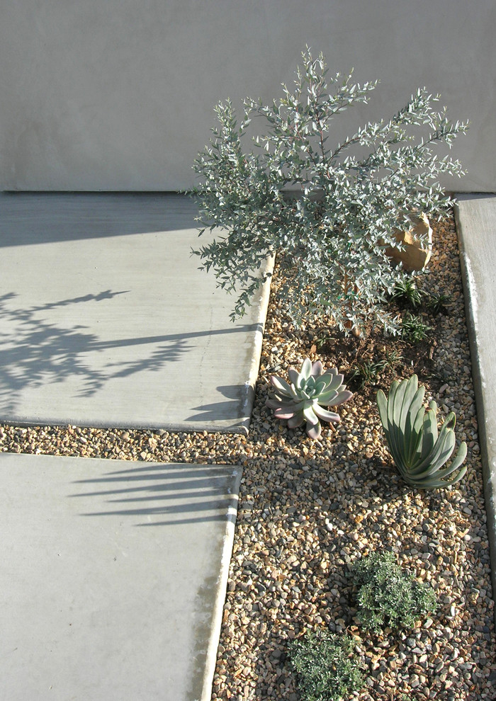 Пример оригинального дизайна: участок и сад в современном стиле