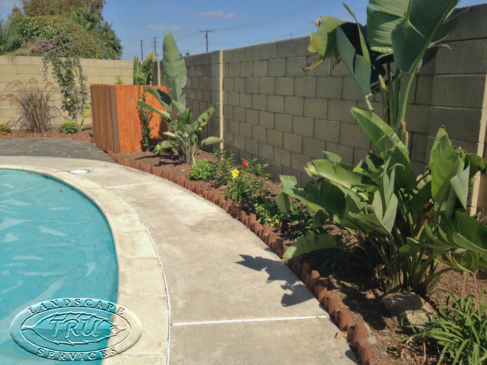 This is an example of a tropical landscaping in Orange County.