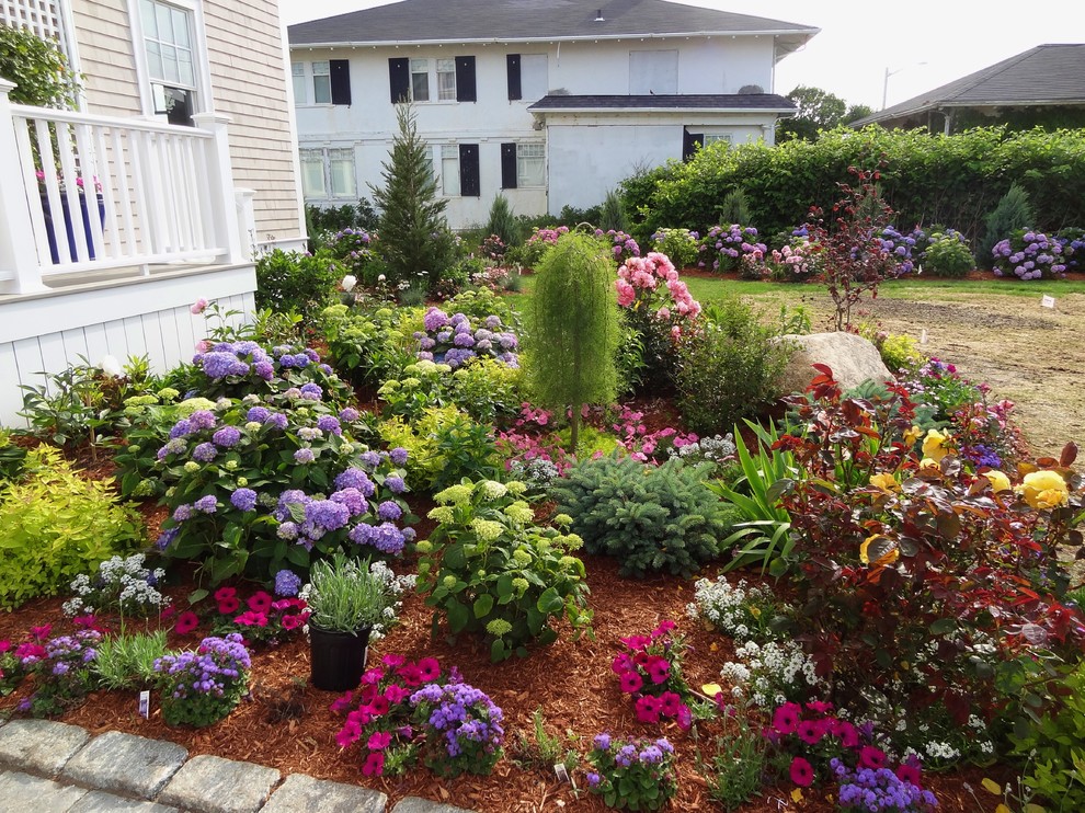 На фото: большой солнечный, летний участок и сад на заднем дворе в классическом стиле с хорошей освещенностью и мульчированием