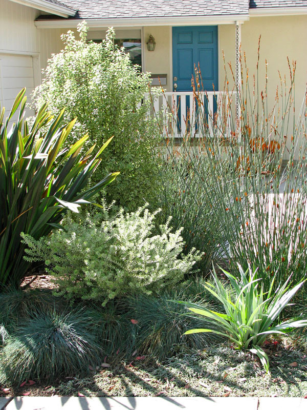 Photo of a classic garden in Santa Barbara.