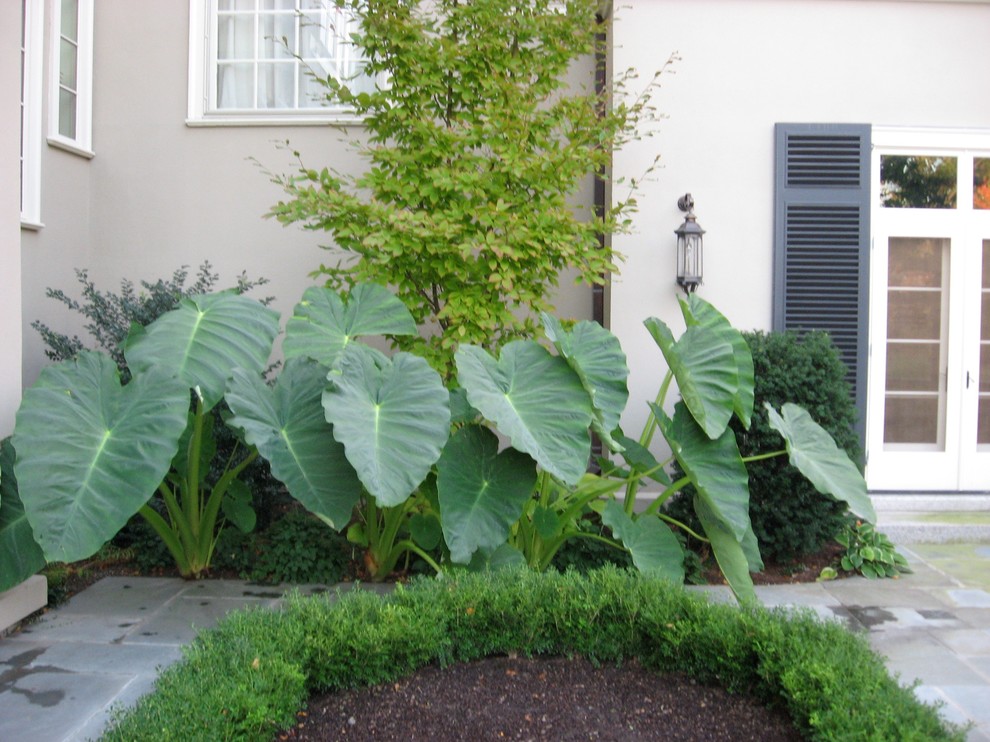 Idee per un grande giardino formale chic esposto in pieno sole davanti casa in estate con un ingresso o sentiero e pavimentazioni in pietra naturale