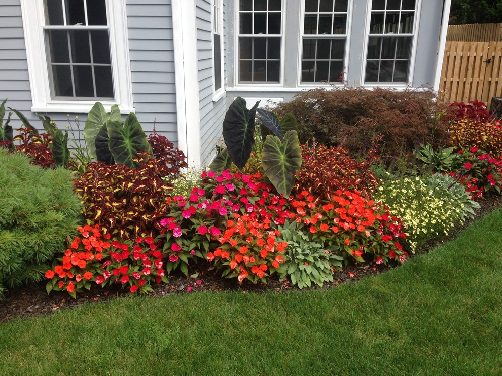 Inspiration for a mid-sized traditional front yard mulch landscaping in Providence.