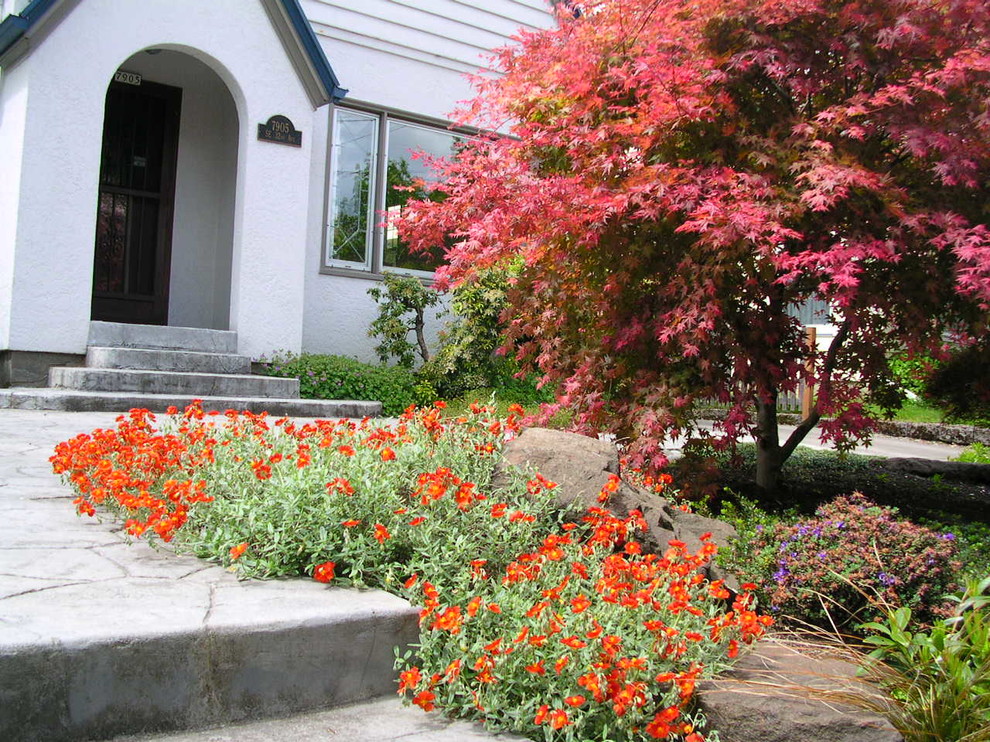 Kleiner, Halbschattiger Vorgarten im Frühling mit Sportplatz und Betonboden in Portland