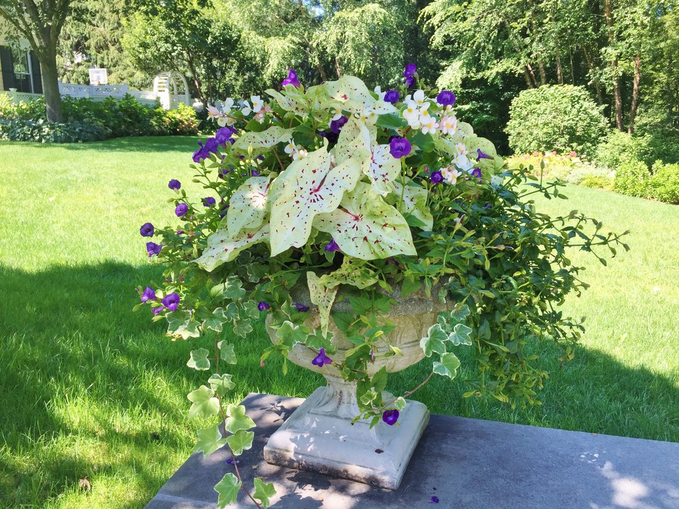 Seasonal Color Landscape New York by Gro Pro Landscape Company