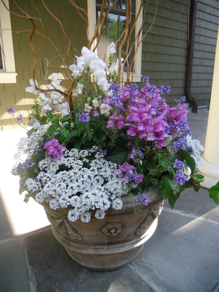Idee per un piccolo giardino tradizionale esposto a mezz'ombra in primavera con un giardino in vaso