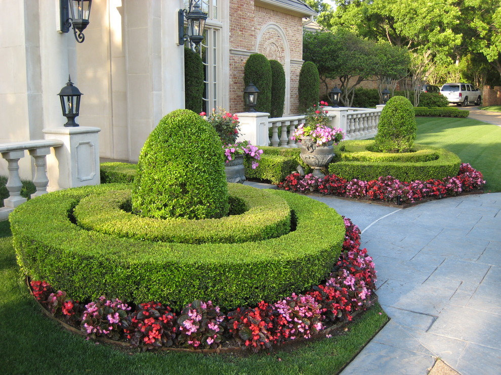 На фото: регулярный сад на переднем дворе в классическом стиле с