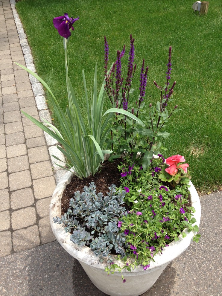 Seasonal Container Plantings & Changeovers Traditional Landscape