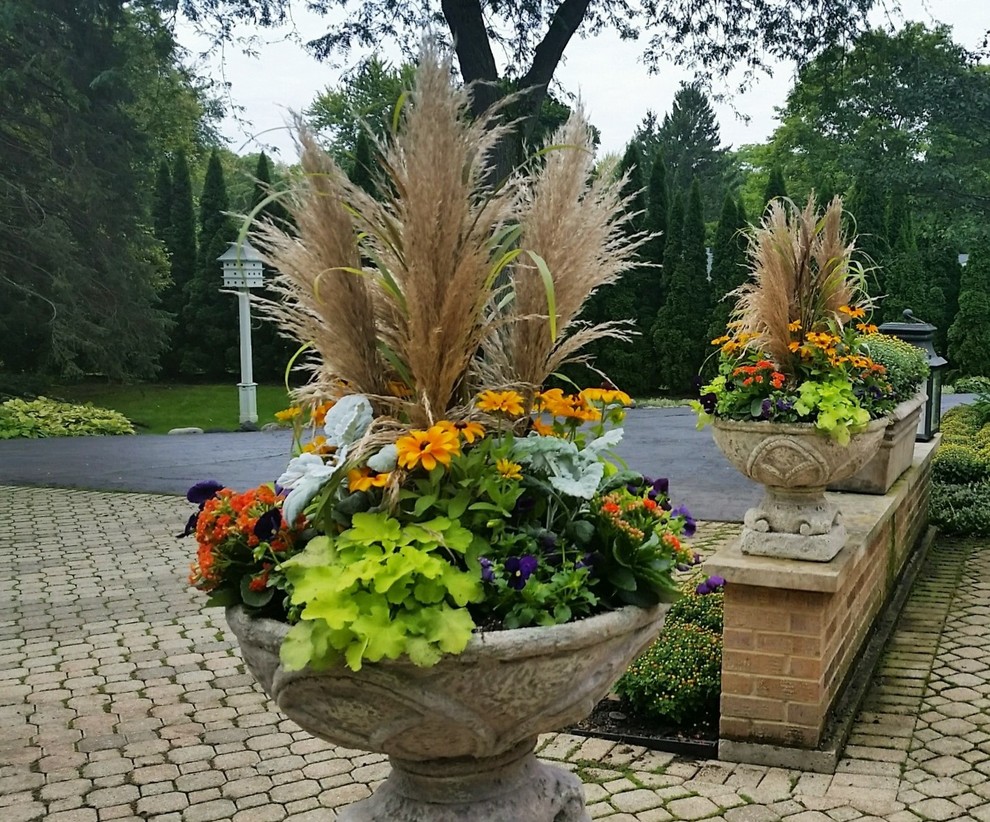 Immagine di un giardino tradizionale esposto in pieno sole davanti casa in autunno con un giardino in vaso