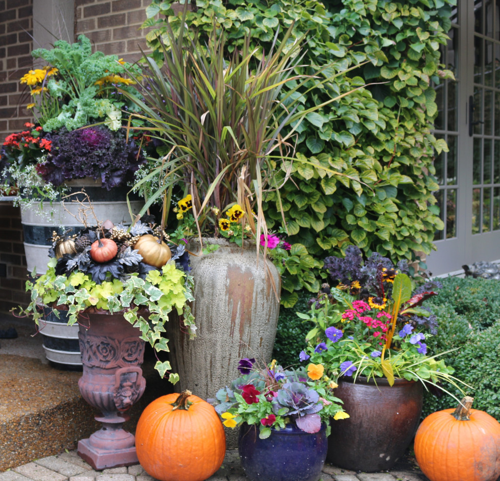 Ispirazione per un piccolo giardino eclettico esposto a mezz'ombra davanti casa in autunno con un giardino in vaso e pavimentazioni in mattoni