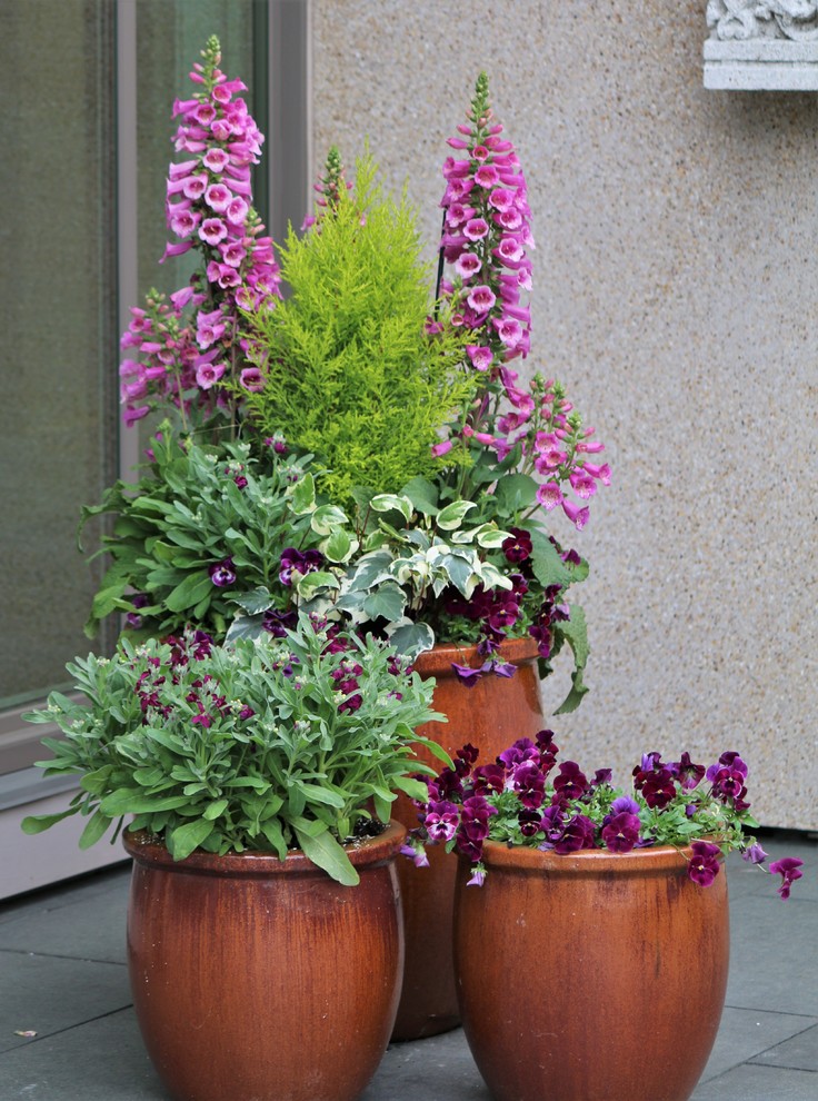Источник вдохновения для домашнего уюта: весенний участок и сад в классическом стиле с растениями в контейнерах и полуденной тенью