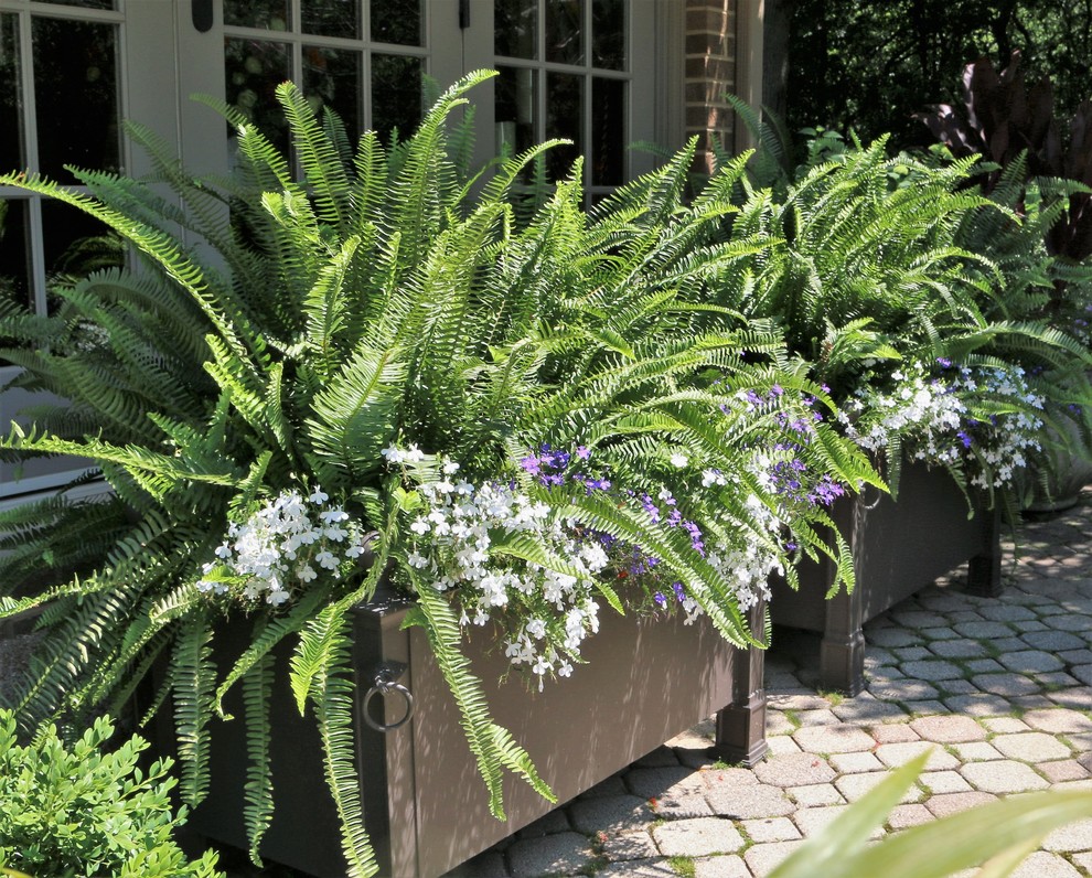 Inspiration for a bohemian partial sun garden for summer in Chicago with a potted garden.