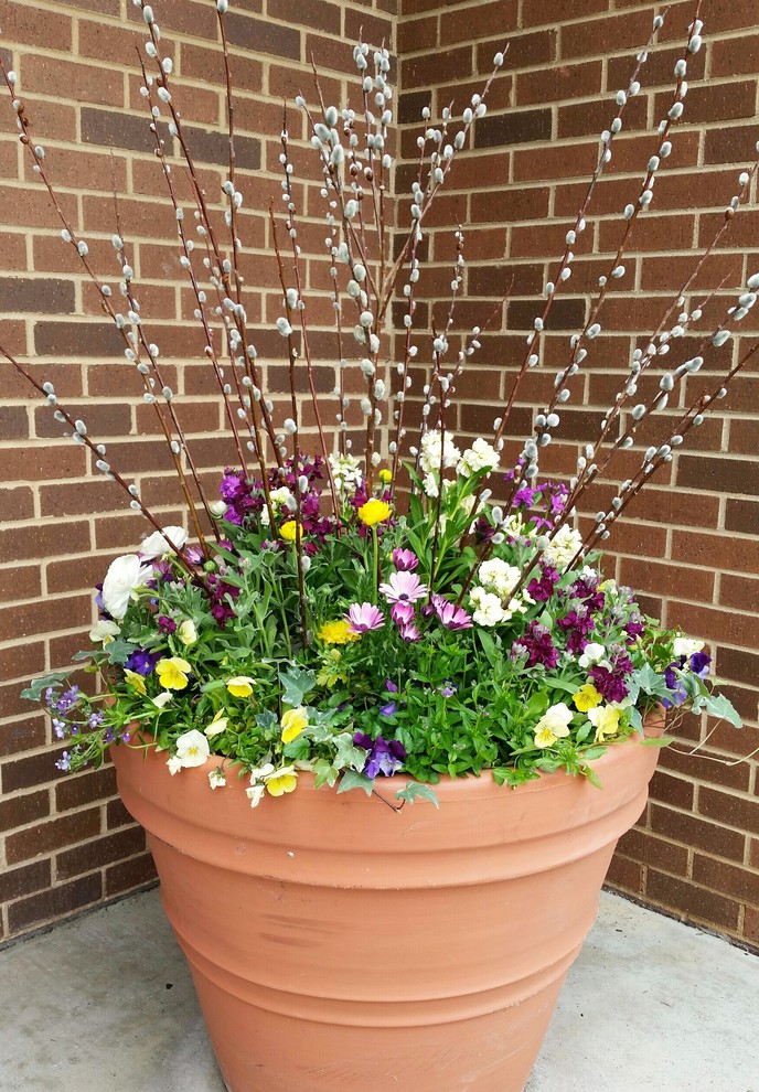 Esempio di un piccolo giardino classico esposto in pieno sole davanti casa in primavera con un giardino in vaso