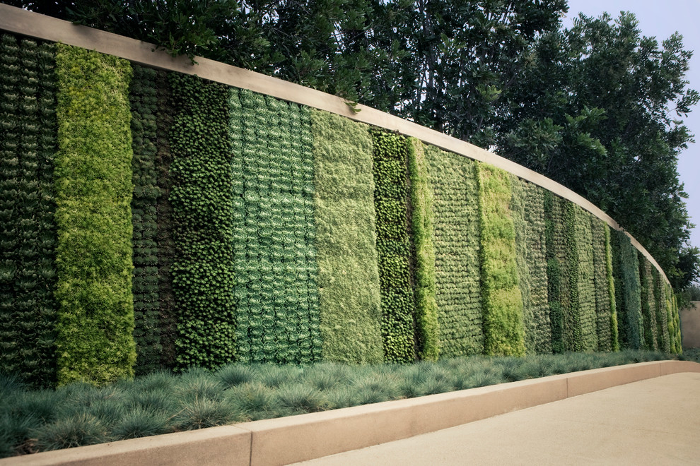 Inspiration for a contemporary landscaping in Orange County.