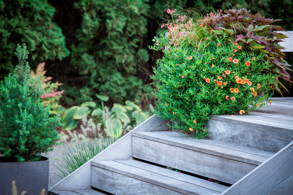 Esempio di un grande giardino minimalista esposto in pieno sole dietro casa in estate con un giardino in vaso e pedane