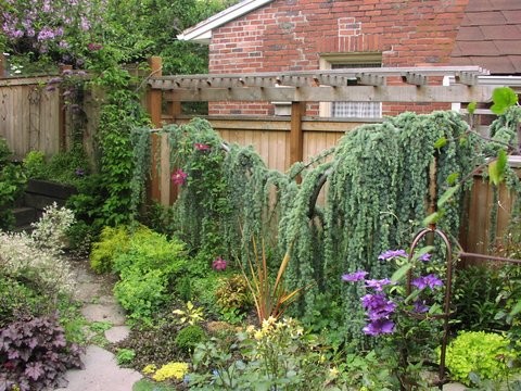 Idéer för en liten shabby chic-inspirerad trädgård i full sol längs med huset på våren, med en trädgårdsgång och naturstensplattor