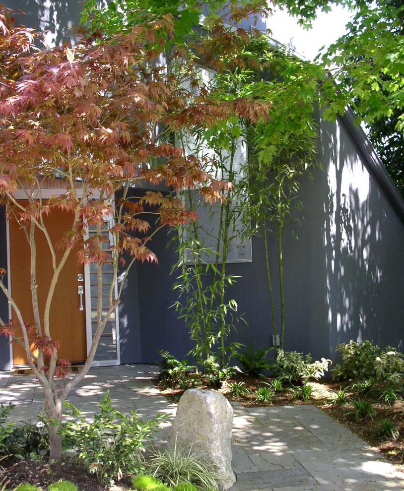 Mittelgroßer, Schattiger Moderner Vorgarten mit Natursteinplatten in Seattle