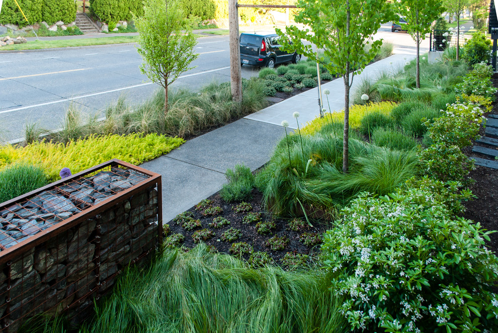 Inspiration for a medium sized contemporary front full sun garden in Seattle.
