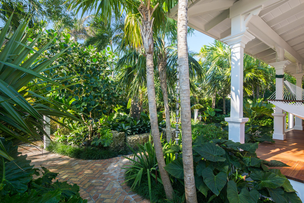 マイアミにあるラグジュアリーな中くらいなトロピカルスタイルのおしゃれな前庭 (日向、コンクリート敷き	) の写真