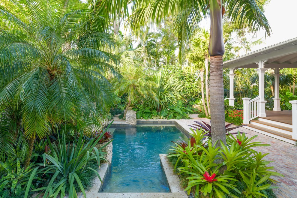 Foto på en mellanstor tropisk trädgård i full sol längs med huset, med marksten i tegel