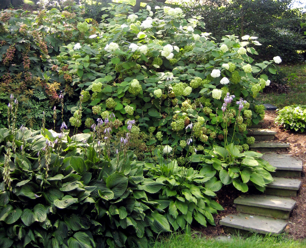 Пример оригинального дизайна: тенистый участок и сад на заднем дворе в классическом стиле