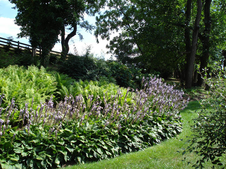 This is an example of a classic garden in Baltimore.