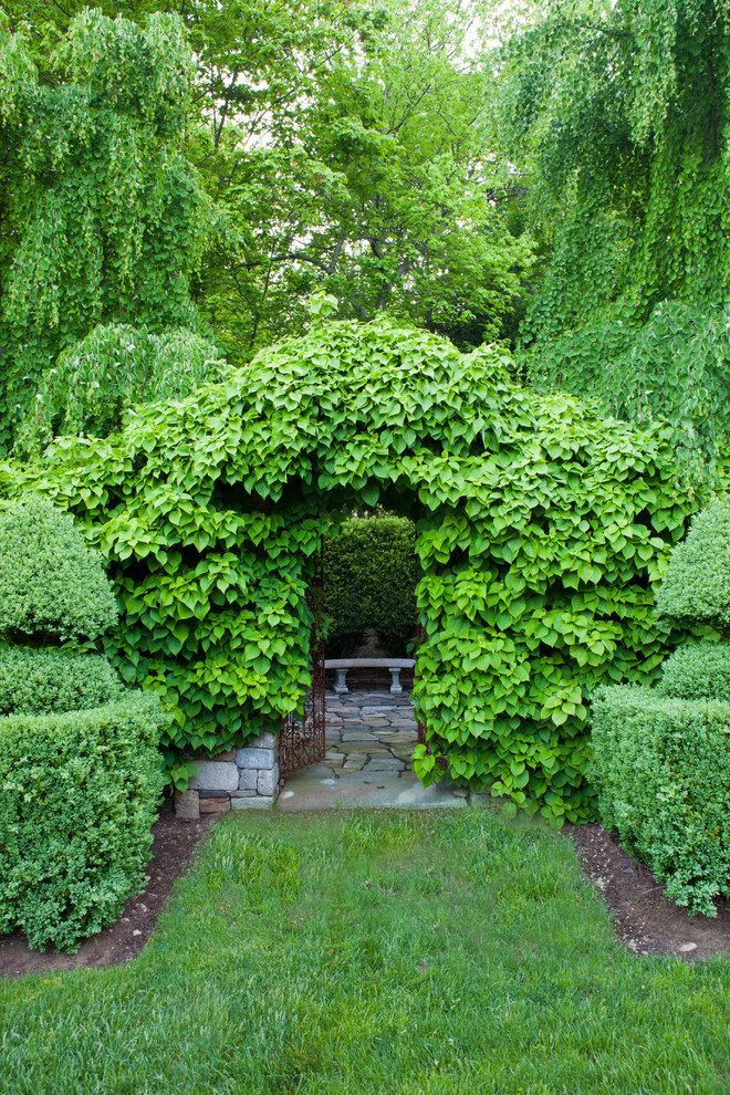Immagine di un giardino formale tradizionale esposto a mezz'ombra di medie dimensioni e dietro casa