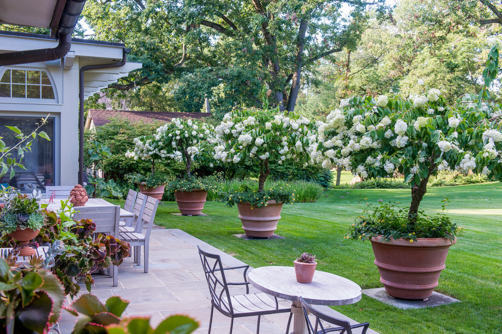 Immagine di un giardino classico esposto a mezz'ombra di medie dimensioni e dietro casa in primavera con un giardino in vaso e pavimentazioni in pietra naturale