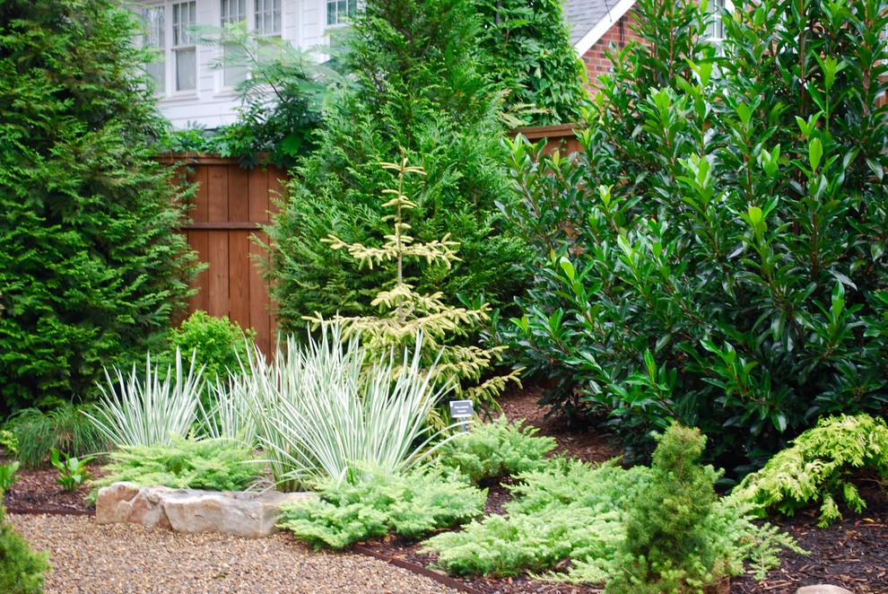 Contemporary garden in Charlotte.