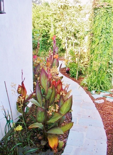 Inspiration for a tropical landscaping in Los Angeles.