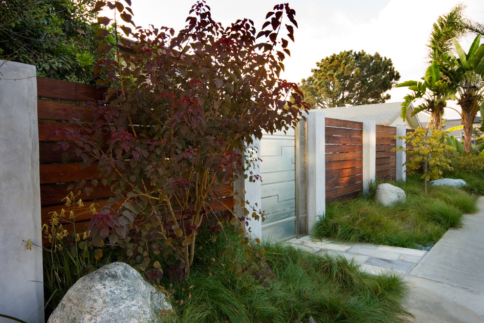 Design ideas for a modern front garden in San Diego.