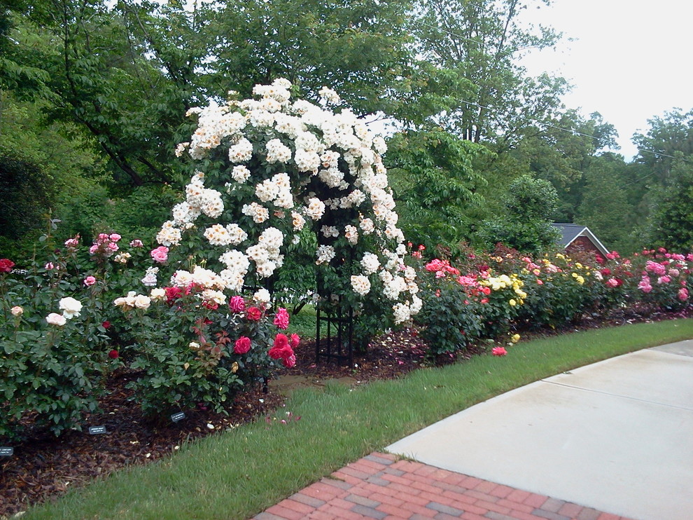Стильный дизайн: большой солнечный регулярный сад на переднем дворе в классическом стиле с хорошей освещенностью - последний тренд