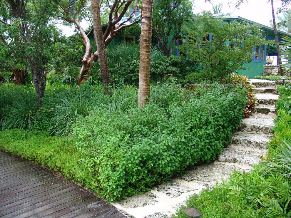 Foto di un giardino tropicale con un pendio, una collina o una riva e scale