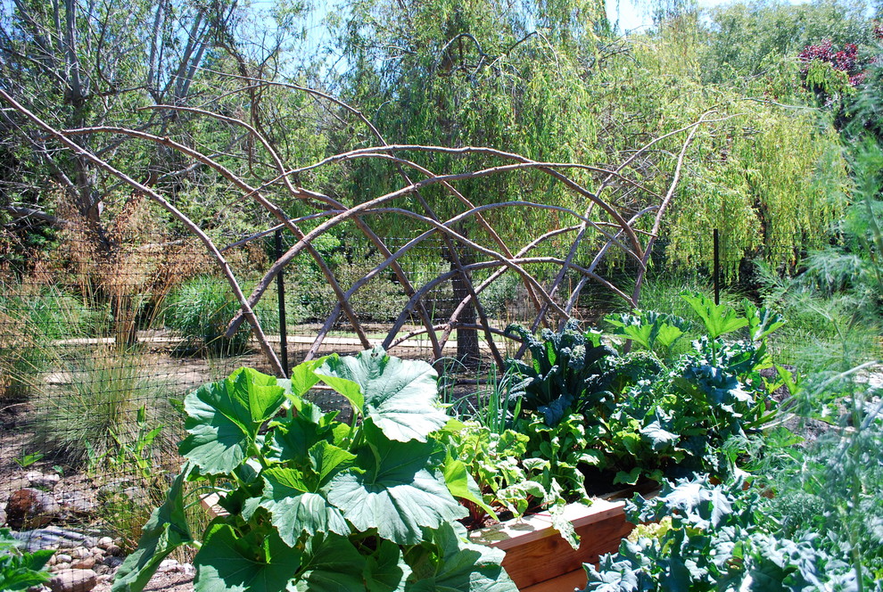 Inspiration for an eclectic vegetable garden landscape in San Francisco.